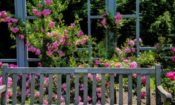 Deanna Rose Park