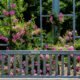 Deanna Rose Park