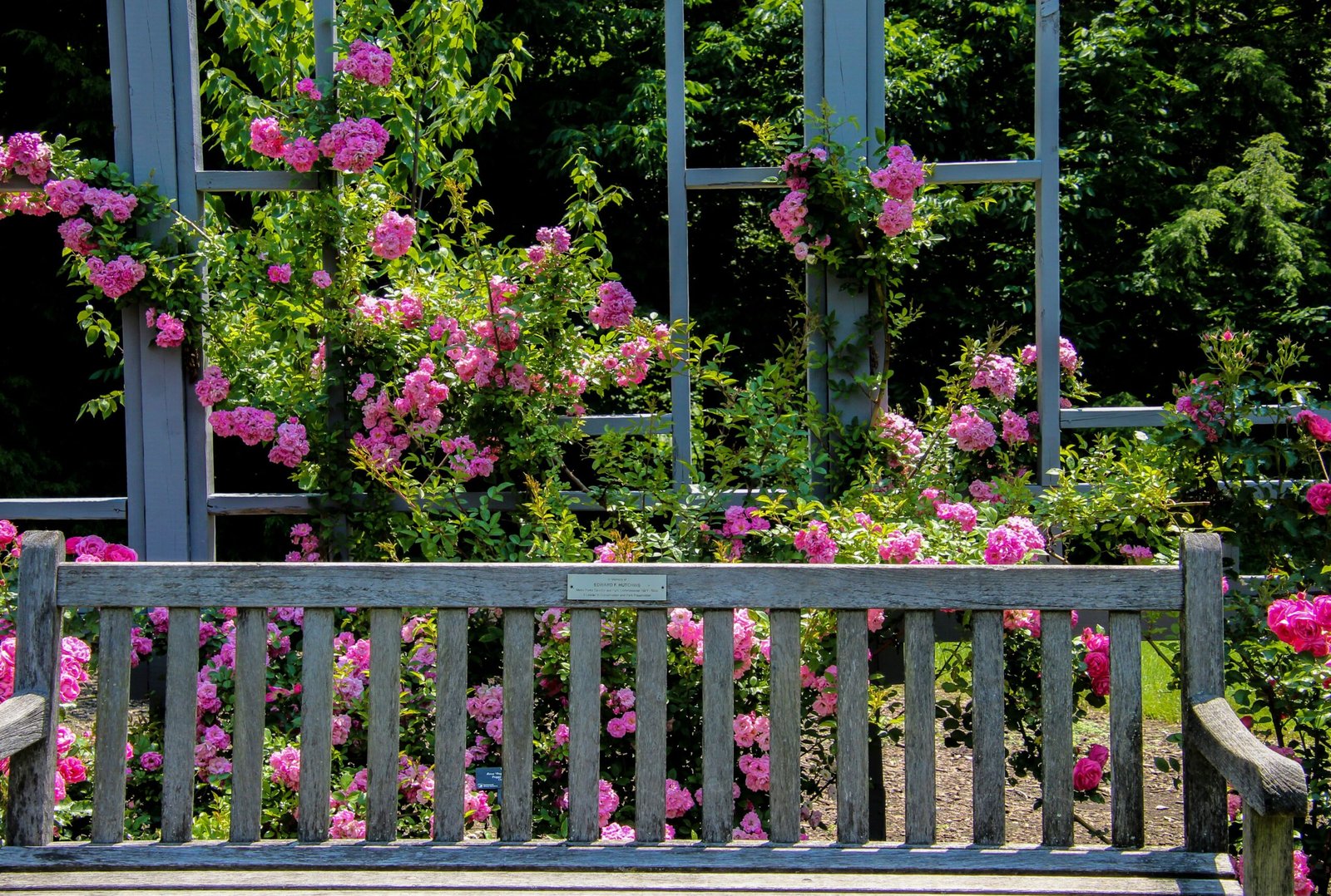 Deanna Rose Park